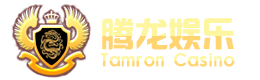 腾龙集团网站